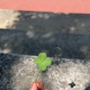 영선노래방 이미지