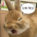 후쿠오카에서의 대여섯 컷: 담고, 스치고, 떠나가고.