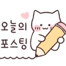 신쿵푸탕후루 월피점 이미지