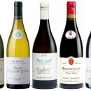 와인21추천 BEST OF BEST - 치명적 우아함, 부르고뉴(Bourgogne) 이미지