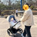 천해한우농장(I) | 임신일기10(26-27주차)