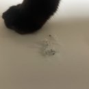 성빈한의원 이미지