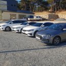 지에스렌트카 이미지