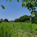 중말농장 이미지