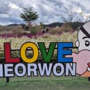 국악과 케이팝의 만남 온도 | [철원 고석정 꽃밭축제] 국악과 비보잉의 만남! 라스트릿크루의 화려한 퍼포먼스 | 국악비보이공연...