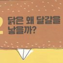 꼬리에꼬리를무는닭