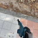 운흥초교 네이버블로그