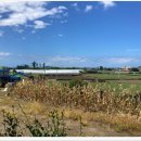 스테이해봄 이미지