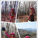 담산농장 티스토리