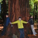 &#34;덜깬 주&#34;님~강남구의회 부의장에 당선되셨습니다~ 이미지