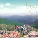 은하주막 이미지