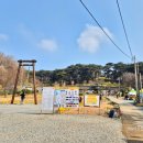 4월 국내여행 충남 서산 가볼만한곳 유기방가옥 수선화축제 개화현황 feat.여행스케치