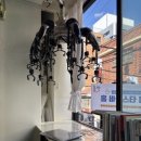 끄댕이(Que Din E) 이미지