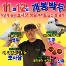 뽀사장