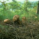 정봉농장 이미지