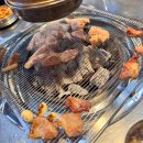 양세호의 옛날뒷고기 구미점 | N번째 방문중인 뒷고기 인생 맛집 <양세호의옛날뒷고기>