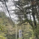 숲속개울가 이미지