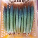 오이축산 이미지