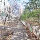 광교상떼빌파크뷰공인중개사사무소 이미지