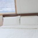 스테이브릴 이미지