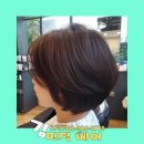우아한중년들 이미지