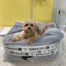 몽스파 연제점 | [몽스파 연제점] 리그램 이벤트 : 후기 ♥