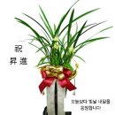 문중의 자랑인(이정은) 이미지