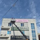 비디자인 네이버블로그