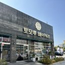 게임박스 장곡점 | 토모루 베이커리 장곡점 사랑스러운 강아지 케이크 후기 30% 쿠폰 이벤트