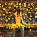 비스비제주 앤 팜빌리지 이미지