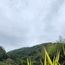 시골밥상 농어촌민박 이미지