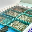 해물나라 이미지