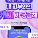 AI와 함께하는 스마트폰 세상 이미지