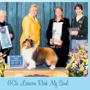 AKC's Weekly Winners Gallery - March 30, 2011 이미지