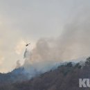 김삿갓면-45 이미지