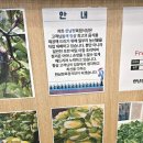 한남정육점식당 이미지