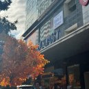 포피스 피자 | 나트랑 자유여행 신상 숙소 웨스틴 깜란 리조트 테니스장 수영장, 쉐라톤 포피스 피자 후기