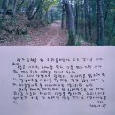 개구리의 엽서 2222/버킷리스트 가운데 하나 이미지