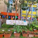 별바라기어린이공원 앞 이미지