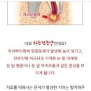 닥터정 동물병원 이미지