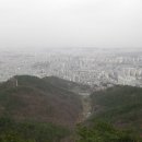 (주)군왕봉