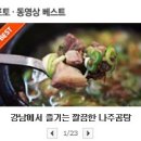 [서울맛집 / 대치동맛집] 꽃담 - 강남에서 착한 가격의 깔끔한 나주곰탕 이미지