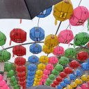 배바우손두부 | 5월 포토덤: 수술 전까지 알차게 보내기