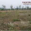 오송주유소 이미지