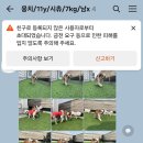 위드펫홈 이미지