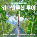 (주)워크사이트 | 코타키나발루 투어 키나발루산 캐노피워크 온천 나비정원 힐링코스
