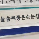늘솜씨좋은속눈썹