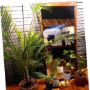 더파워힐링샵 이미지