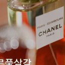 파르품삼각 네이버블로그
