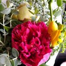 주정차112 이미지